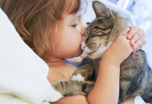 animais para criancas