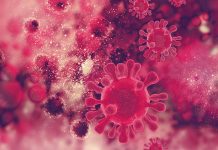 diferenca de hiv e aids