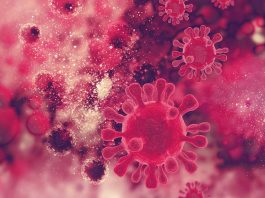 aids e hiv