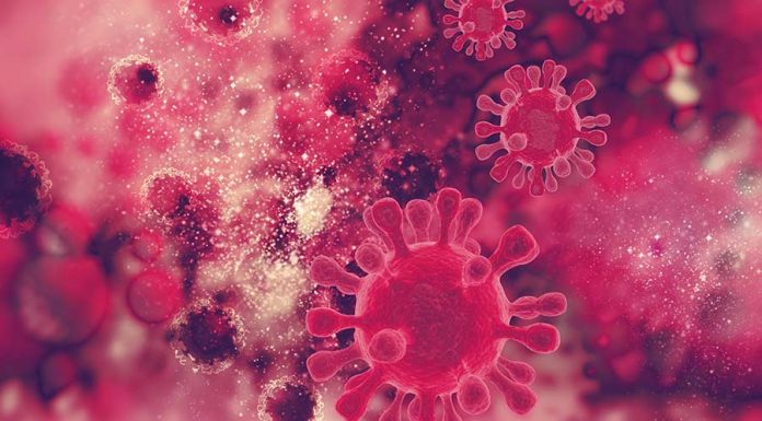 diferenca de hiv e aids