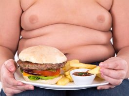 fatos sobre obesidade
