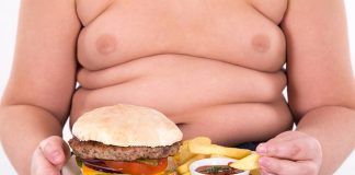 fatos sobre obesidade
