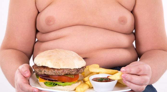 fatos sobre obesidade