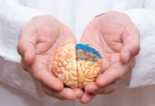 prevenir demencia