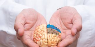 prevenção da demência