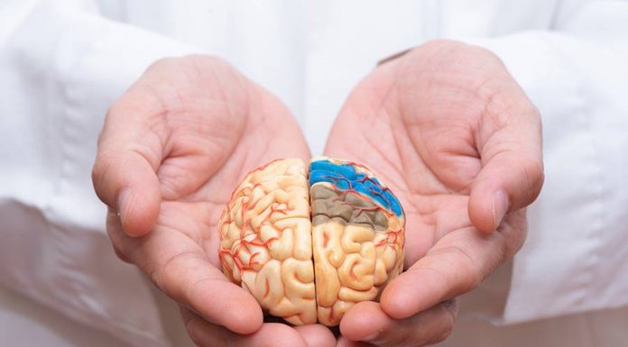 prevenir demencia