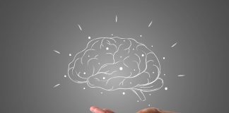 cerebro-humano-e-os-tipos-de-transtorno-de-personalidade