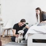 animais de estimacao e saude mental