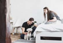animais de estimacao e saude mental