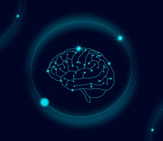 neurodiversidade